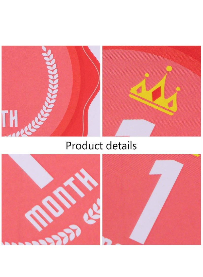 SOLARAE Baby Monthly Milestone Stickers, Set of 1 Crown Baby Monthly Stickers, Monthly Photo Picture Props for Infant Onesie, Newborn Monthly Milestone Stickers, Scrapbook Photo Keepsake - Image 4