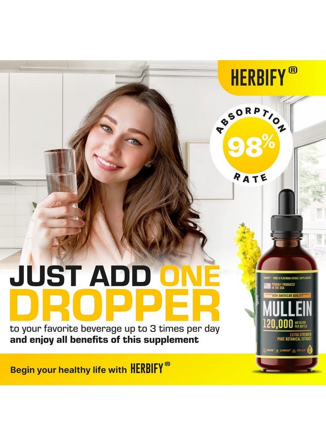 Mullein Drops Lung Cleanse Mullein Leaf Extract Powerful Mullein For Immune Support Mullein Extract For Lung Detox & Respiratory Support Made In Usa Herbal Supplements 4 Oz