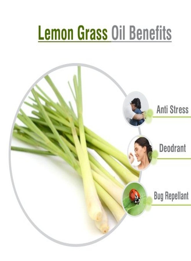 Crysalis Lemongrass Oil (Cymbopogon spp.) Oil - 50ml - Image 3