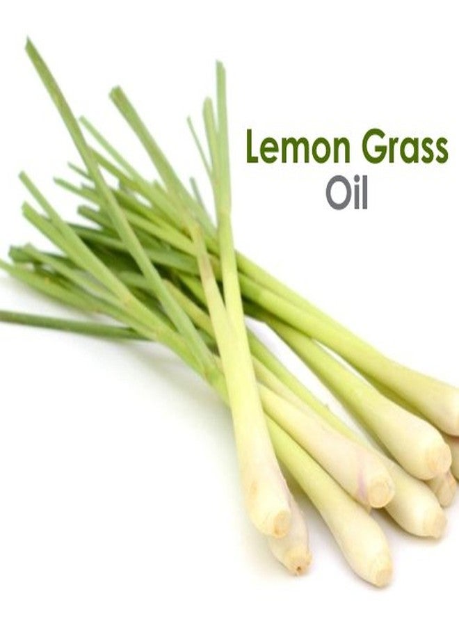 Crysalis Lemongrass Oil (Cymbopogon spp.) Oil - 50ml - Image 2