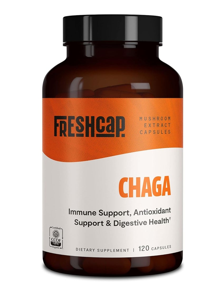 Chaga Mushroom Supplement, 120 Capsules - pzsku/ZD7FE3F2A3521130694D6Z/45/_/1713080685/e013f194-7e51-42bb-a5f2-27bb67261f0b