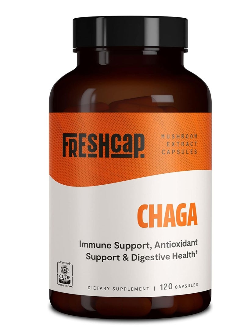 فريش كاب مشرومز مكمل فطر تشاجا، 120 كبسولة
