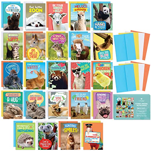 T MARIE 24 Funny Animal Greeting Cards - Humorous Designs with No Repeats - 4.5” x 6.25” Bulk Note Cards for Friends, Kids, Students, Teachers, Summer Camp and More - Image 1