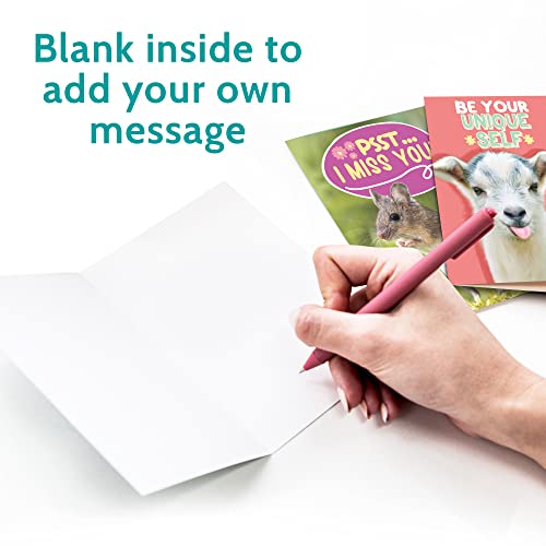 T MARIE 24 Funny Animal Greeting Cards - Humorous Designs with No Repeats - 4.5” x 6.25” Bulk Note Cards for Friends, Kids, Students, Teachers, Summer Camp and More - Image 3