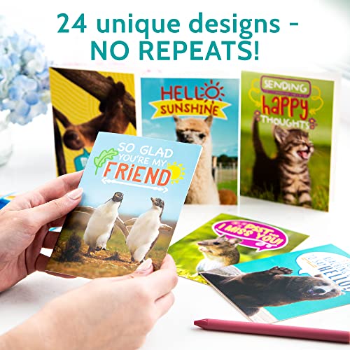 T MARIE 24 Funny Animal Greeting Cards - Humorous Designs with No Repeats - 4.5” x 6.25” Bulk Note Cards for Friends, Kids, Students, Teachers, Summer Camp and More - Image 2