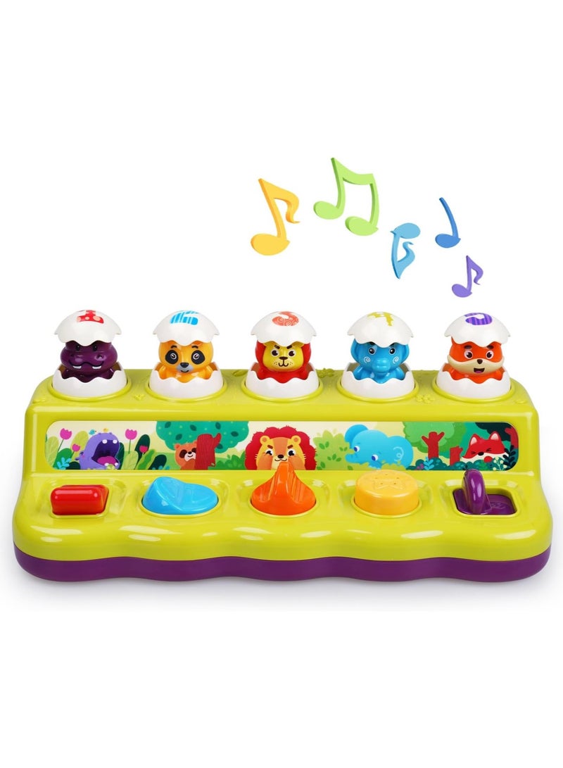 general Toddler Pop Up Toy with Music and Light, Cause and Effect Toys for 6 9 12 18 Month Old Baby Toys, Early Learning Educational Toys for 1 2 Year Old Boy and Girls Gifts - Image 1