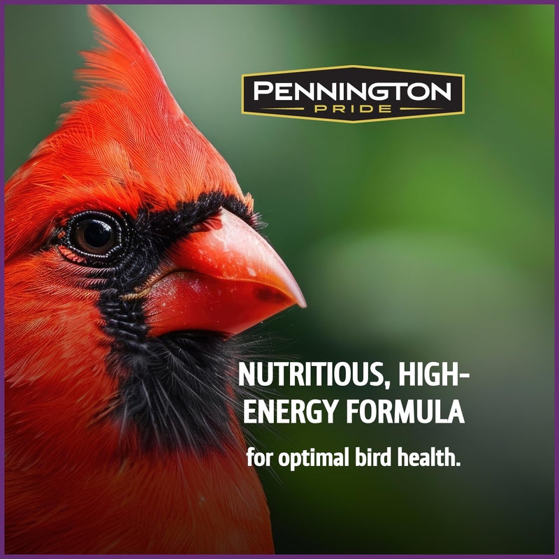 Pennington Pride Songbird Nut & Fruit Blend, Wild Bird Seed for Outside Feeders, Advanced Nutrition Formula for Bird Health, 10-lb. Bag - Image 4
