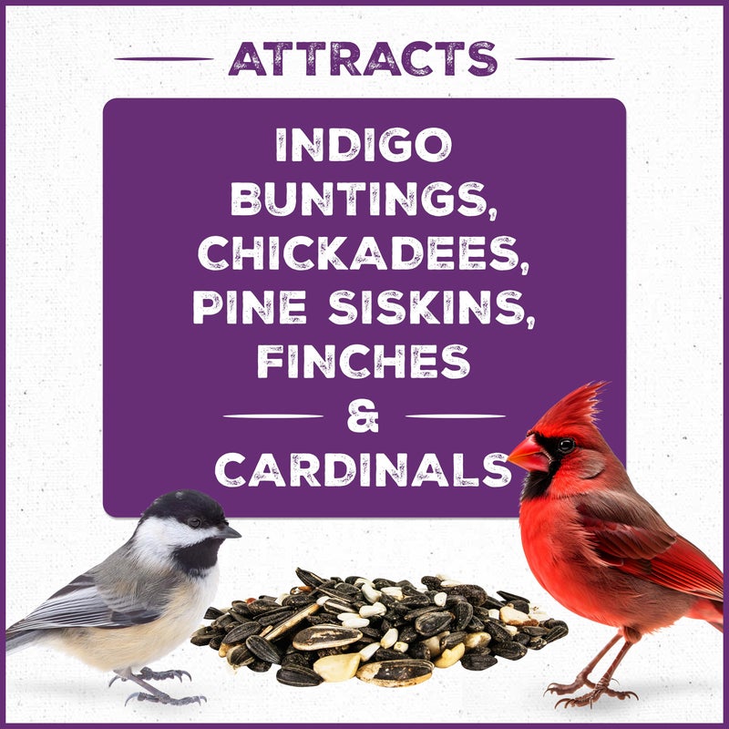 Pennington Pride Songbird Nut & Fruit Blend, Wild Bird Seed for Outside Feeders, Advanced Nutrition Formula for Bird Health, 10-lb. Bag - Image 3