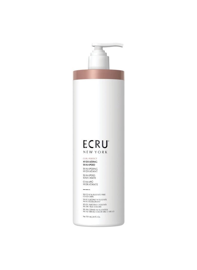 Curl Perfect Hydrating Shampoo 24Oz - pzsku/ZD800EFE15ABED56EDEA7Z/45/_/1696662614/ed97f87c-1dd0-46ef-962c-cfcb65f1d198