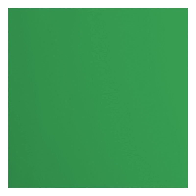 Florence Cardstock Smooth  Coloured Card Making Supplies 12 x 12 inch  Green  20 Sheets  Coloured Paper for Scrapbooking Card Making Die Cutting and Paper Crafts  216 GSM  Holly