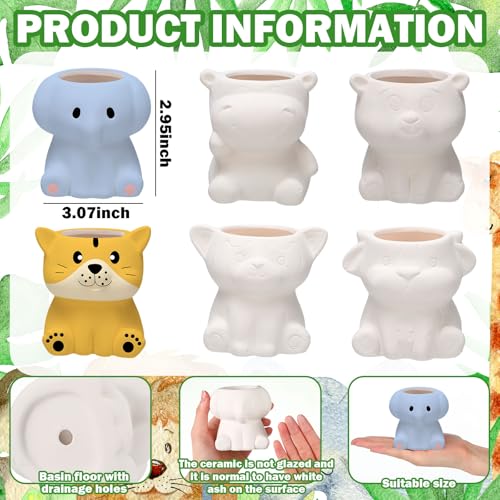 Beeveer 6 Sets Paint Your Own Ceramic Animal Succulent Planters Paintable Animal Ceramic Small DIY Figurines Unpainted Succulent Pots with Drainage Hole for Adults - Image 3