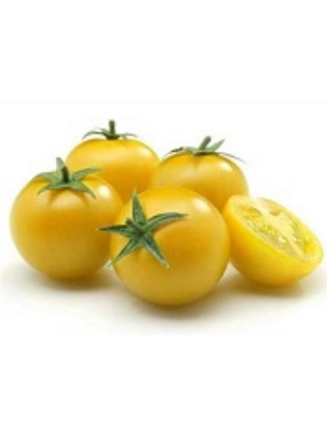 Cherry Tomatoes , Yellow - 250g , Morocco