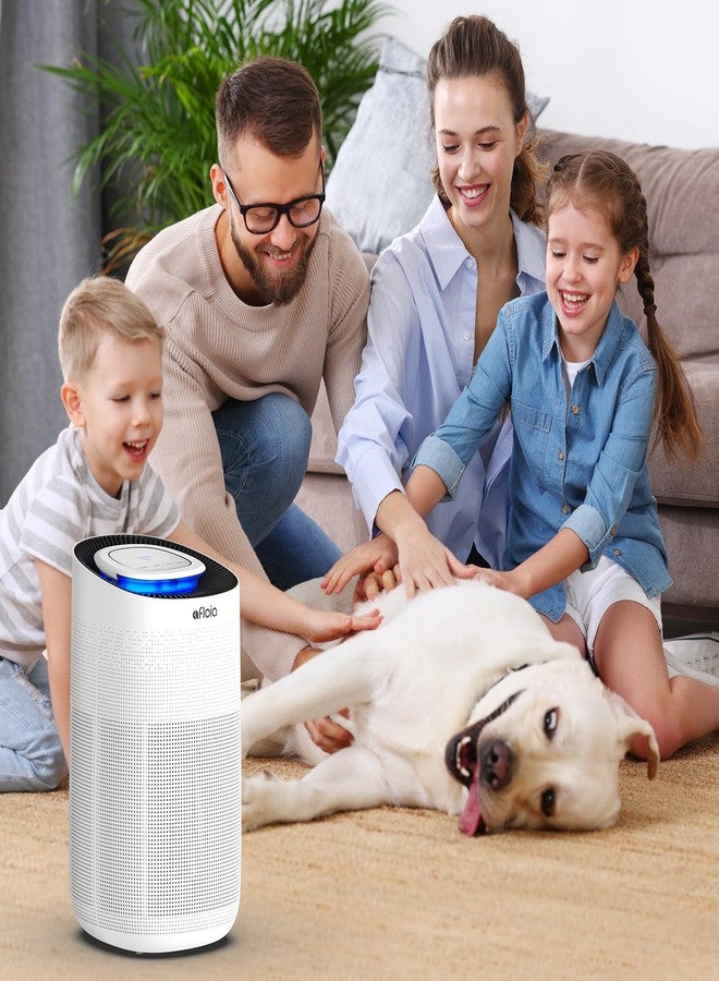 Afloia Original Replacement Filter for Max Air Purifier Compatible with Afloia Max Air Filter, for B088R4JWW3/B0922N7WRH/B09BQKNK5X - Image 3