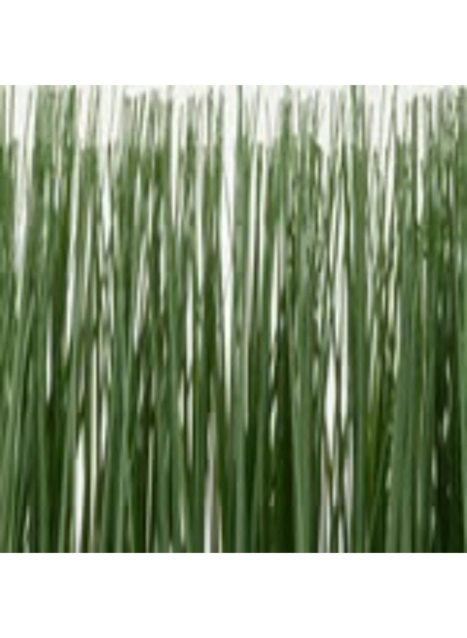 Artificial potted plant with pot in outdoor grass - Image 3