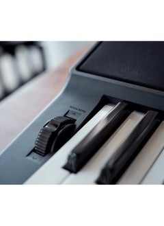CASIO CT-X800 Digital Musical Piano Keyboard - 600 Tones - 195 Rhythms - Touch Response  - Image 5