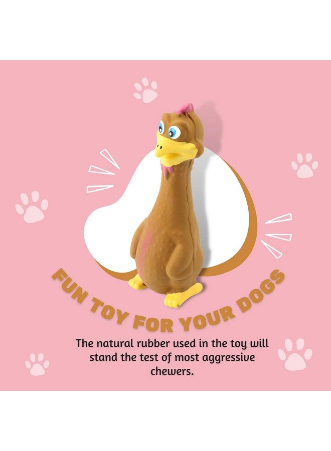 Soft Non-Toxic Latex Rubber Dog Toy Combo - (Brown Duck) | Perfect Play Small Dogs & Puppy | Animal Design, Fetch & Chew Safe Play Toy - Image 5