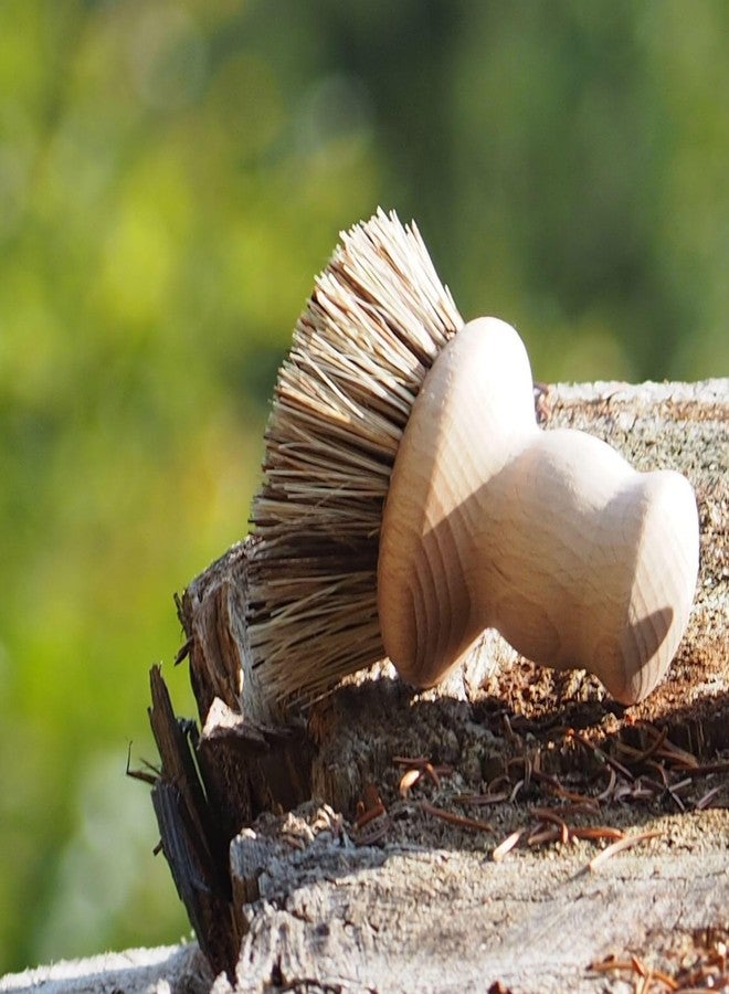 IPPINKA Pot Brush - Oiled Beech Wood Handle - Natural Union Plant Fiber Bristles - Made in Germany - Image 2