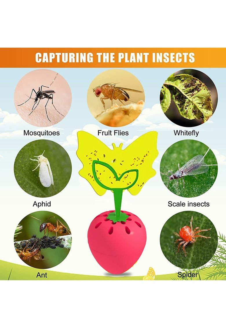 Excefore Fruit Fly Trap, Fly Catcher Gnat Trap Fruit Fly Killer with 16 Yellow Sticky Traps 2 Trapping agent, Gnat Trap with Bait for Indoor Outdoor, Safe Non-Toxic Fly Trap  - Image 4