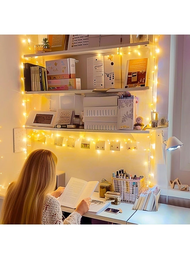 LC Decorative String Lights 100m with 1000 LED Bulbs, USB and Battery Powered - Image 2