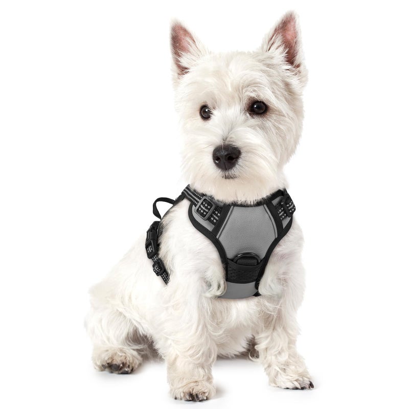 rabbitgoo Dog Harness No Pull with 2 Leash Clips, Adjustable Soft Padded, Reflective Oxford No Choke Pet Vest with Easy Control Handle for Puppy, Grey, XS - Image 1