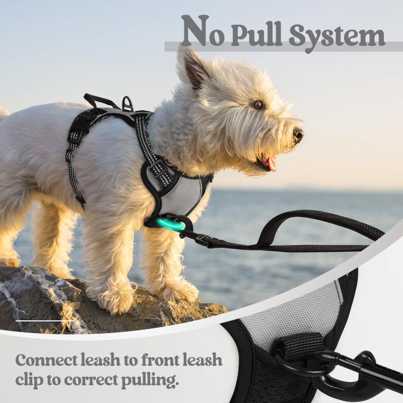 rabbitgoo Dog Harness No Pull with 2 Leash Clips, Adjustable Soft Padded, Reflective Oxford No Choke Pet Vest with Easy Control Handle for Puppy, Grey, XS - Image 5