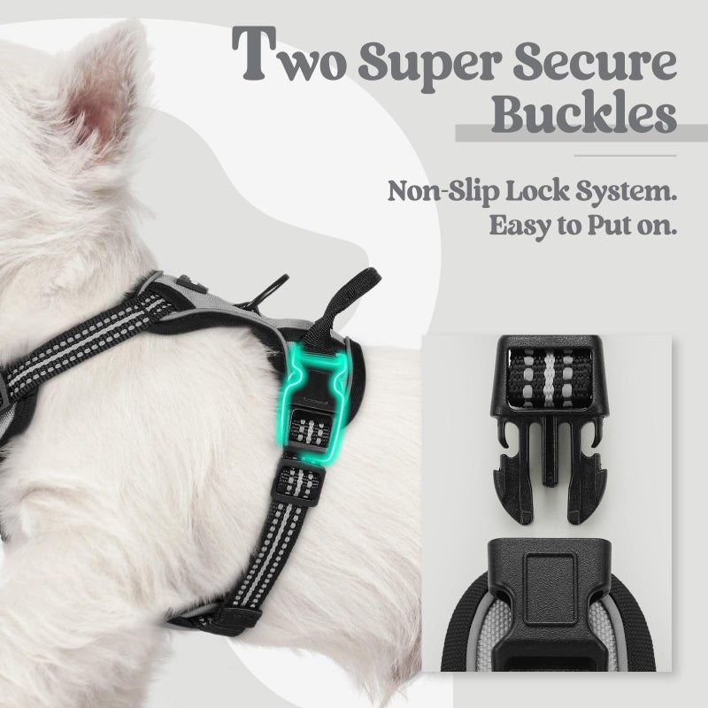 rabbitgoo Dog Harness No Pull with 2 Leash Clips, Adjustable Soft Padded, Reflective Oxford No Choke Pet Vest with Easy Control Handle for Puppy, Grey, XS - Image 3