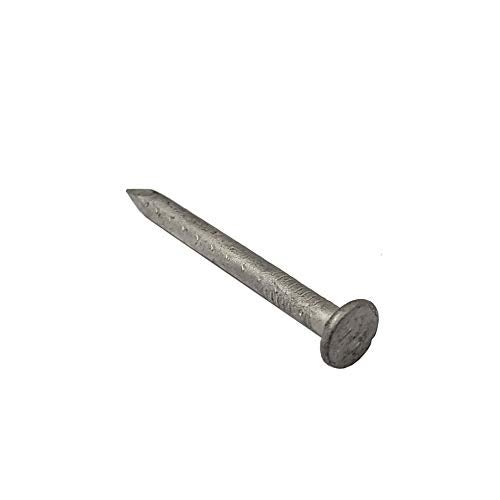 Decorex Hardware 1 1/2" x 10G Joist Hanger Nails | Hot Dip Galvanized Steel | 2.2lb / 1kg per Box - Image 5