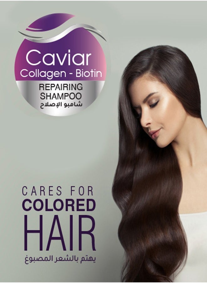 ليزا - شامبو ليزا بريميوم - الكافيار و الكولاجين و البيوتين للشعر لإصلاح و إحياء الشعر 600 مل - Image 1