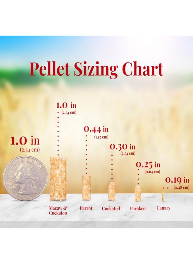 لافيبيرز حبيبات طعام الطيور الأليفة LAFEBER'S Premium Daily Diet Pellets، مصنوعة من مكونات غير معدلة وراثيًا ومناسبة للبشر، للكناري، 5 رطل  - Image 3
