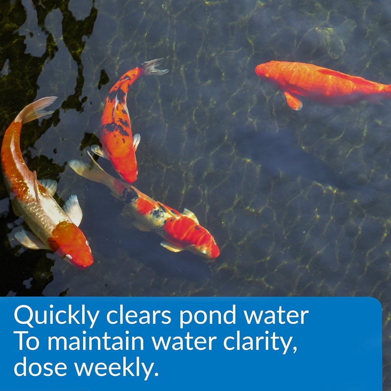 API POND ACCU-CLEAR Pond Water Clarifier - 32 Ounce Bottle for Crystal Clear Pond Water - Image 3