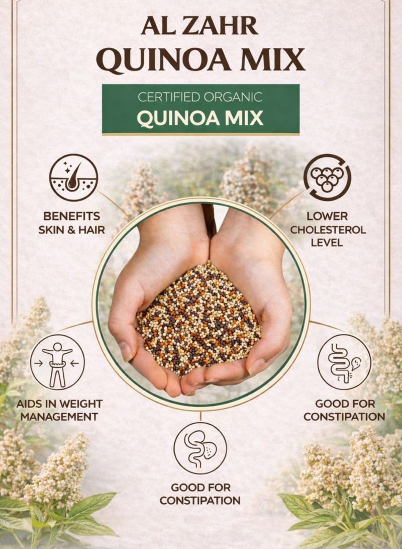 Zahr Quinoa Mix Seeds (Habat Quinoa Mix) – Chenopodium quinoa | Mixed Color Botanical Seeds for Gardening, Horticulture, Herbal Projects & Planting - Image 5