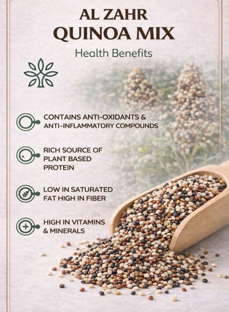 Zahr Quinoa Mix Seeds (Habat Quinoa Mix) – Chenopodium quinoa | Mixed Color Botanical Seeds for Gardening, Horticulture, Herbal Projects & Planting - Image 4