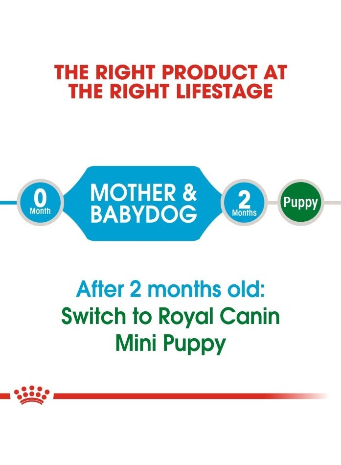 رويال كانين صحة الحجم التغذية ميني ستارتر 1 كجم - Image 3