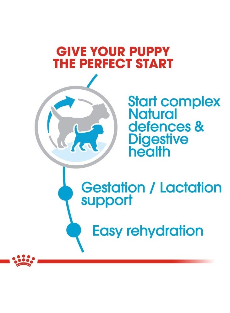 رويال كانين صحة الحجم التغذية ميني ستارتر 1 كجم - Image 4