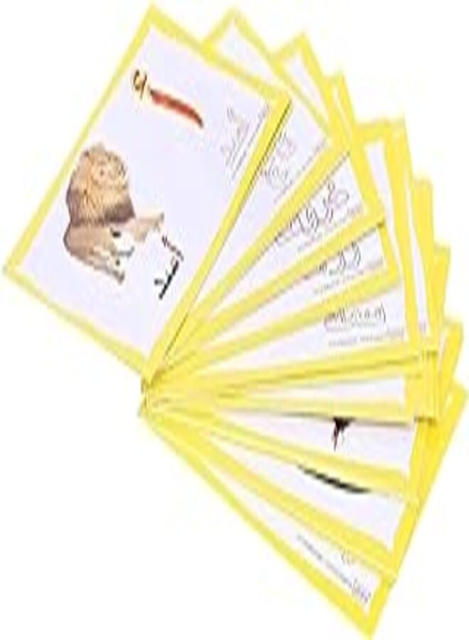 OR Educational alphabetical Cards with Pictures for Kids