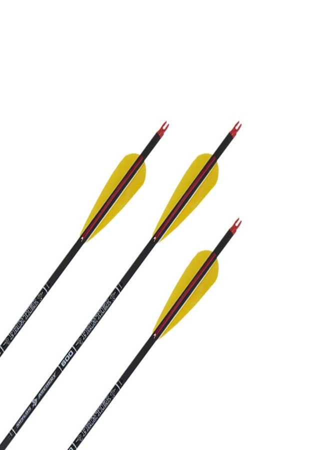 Futaba 30 inch Archery Arrows for Recurve Bow Fiberglass Target Practice (6 pcs) - Image 5