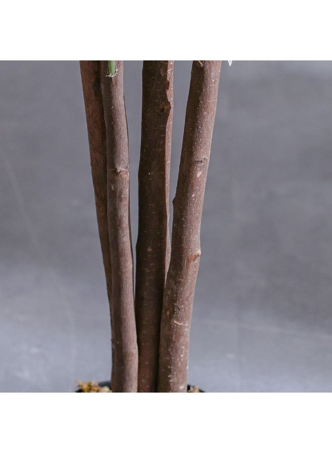 DANUBE HOME Olive Tree Artificial – 180 cm Realistic Faux Mediterranean Tree for Homes & Offices, Authentic Rustic Décor - Image 3