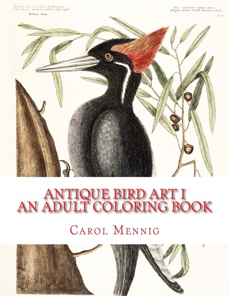 CREATESPACE Antique Bird Art I - An Adult Coloring Book - Image 2