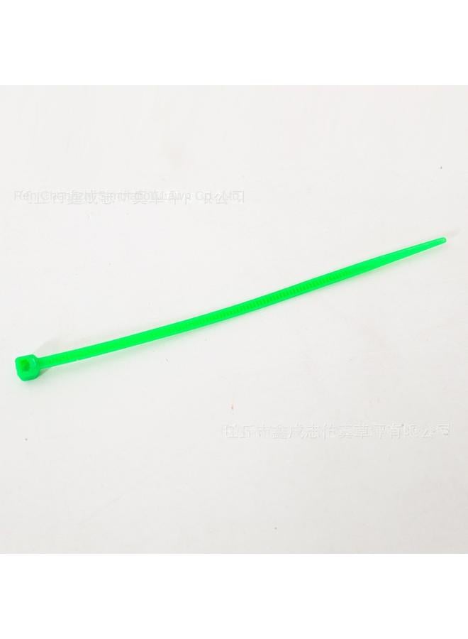 الأزرق جي دبليو حزام نايلون مع 15 سم لكل علبة من 100 خط حزام من البلاستيك مع جدار نباتي مثبت مع حبل الربط - Image 3