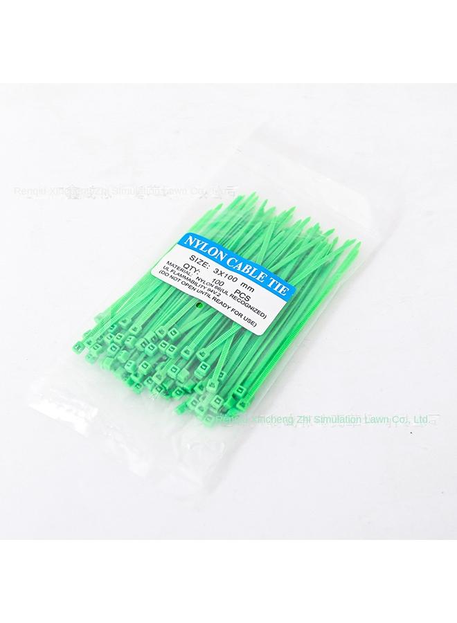 الأزرق جي دبليو حزام نايلون مع 15 سم لكل علبة من 100 خط حزام من البلاستيك مع جدار نباتي مثبت مع حبل الربط - Image 2