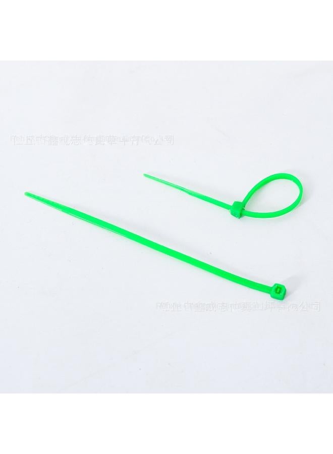 الأزرق جي دبليو حزام نايلون مع 15 سم لكل علبة من 100 خط حزام من البلاستيك مع جدار نباتي مثبت مع حبل الربط - Image 4