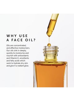 HERBIVORE HERBIVORE Hydrating + Balancing Facial Oil Regimen | Skin Care Bundle Including Lapis Facial Oil and Phoenix Facial Oil  - Image 5