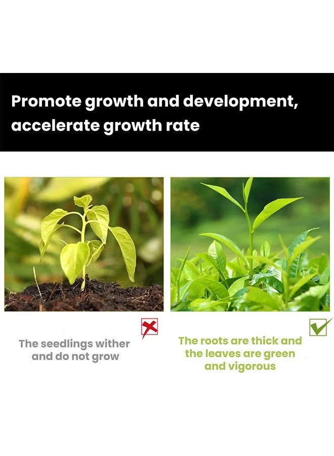 MOONSPRY Resurrection Liquid Plant Growth Enhancer 50ml, Liquid Fertilizer for Seedlings, Rooting Hormones for Cuttings, Plant Growth Supplement for Indoor & Outdoor Potted Plants - Image 3