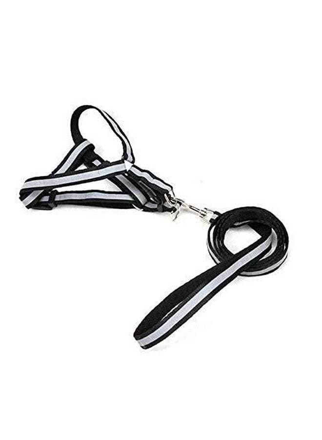 15Mm Soft Nylon Paw Print Reflected Strip Harness & Leash Set For Small Dog, Cats And Kittens Outdoor Walking/Training (Color May Vary) - Image 1
