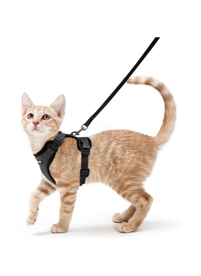 rabbitgoo Cat Harness and Leash for Walking, Escape Proof Soft Adjustable Vest Harnesses for Cats, Easy Control Breathable Reflective Strips Jacket, Black, XS - pzsku/ZD8140F1DE438C4A51C9EZ/45/_/1737031501/b07f3f4a-7315-4174-8d1c-f6a213fb41e8