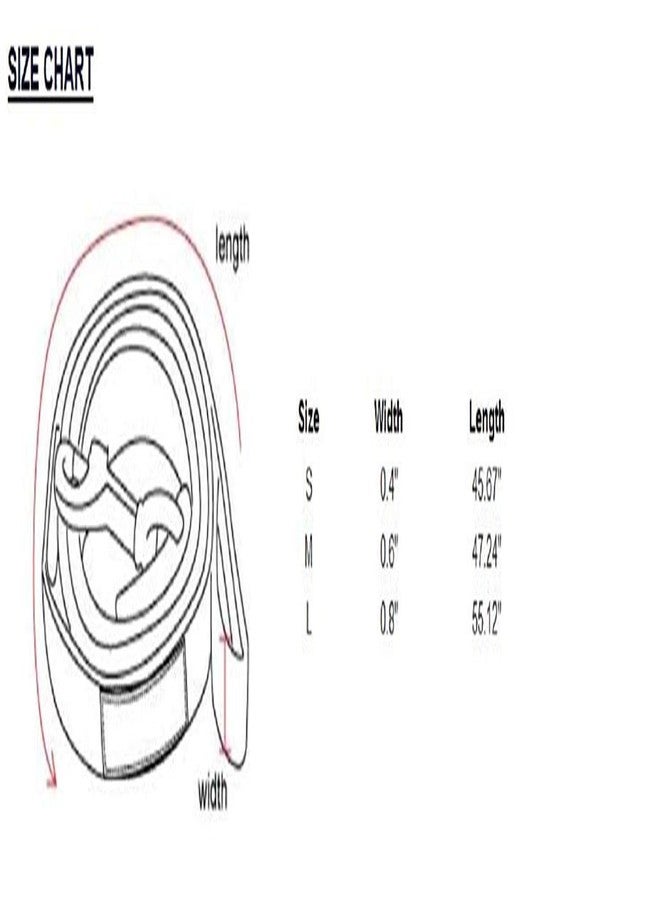 PUPPIA Two Tone Dog Lead Strong Durable Comfortable Grip Walking Training Leash for Small & Medium Dog, Sky Blue, Small - Image 2