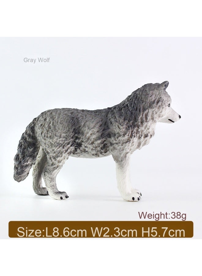 نيبمينينت نموذج حيوانات برية محاكة ثلاثية الأبعاد - ذئب رمادي وذئب بني وذئب زائر بلاستيك، لعبة للأطفال وهدايا تذكارية
