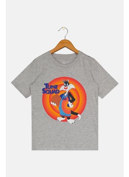Space Jam Kids Boy Tune Squad Slyvester Short Sleeves T-Shirt, Grey  - Image 2