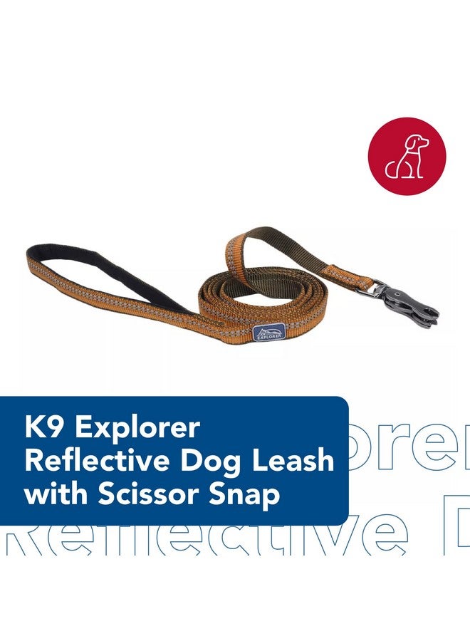 كوستال مقود كلب Coastal Pet K9 Explorer العاكس مع مشبك مقص - مقود نايلون متين - مقود للكلاب والجراء - مستلزمات الحيوانات الأليفة للكلاب - لون السرخس، 1 بوصة × 6 أقدام - Image 2