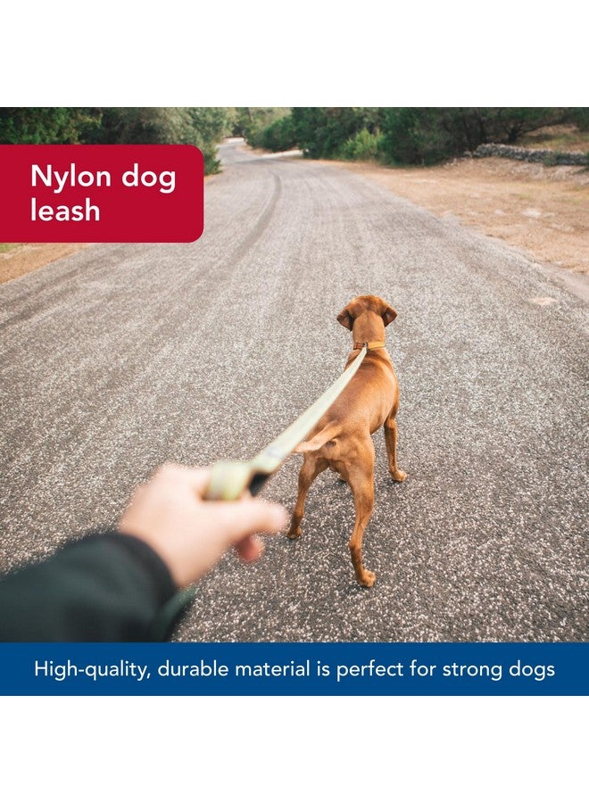 كوستال مقود كلب Coastal Pet K9 Explorer العاكس مع مشبك مقص - مقود نايلون متين - مقود للكلاب والجراء - مستلزمات الحيوانات الأليفة للكلاب - لون السرخس، 1 بوصة × 6 أقدام - Image 4